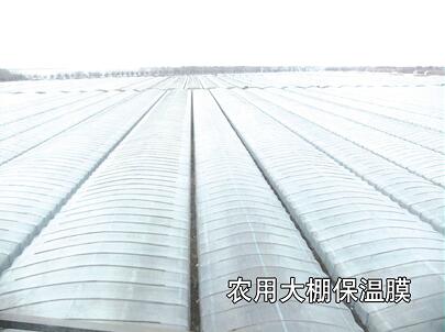母料在吹膜-工業(yè)、農(nóng)業(yè)、包裝中的運用